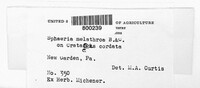 Image Associated With the Occurence